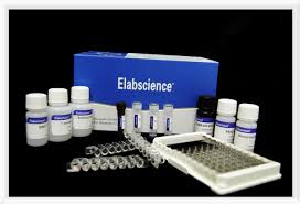 Manufacturers Exporters and Wholesale Suppliers of Biotechnology Kit Delhi Delhi